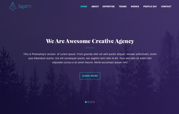 Tajam-free-web-template