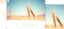 Organic-free-PSD-Web-Template