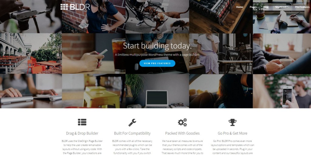 BLDR-free-WP-theme