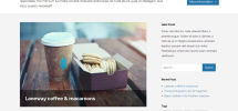 Bravo-free-WP-theme