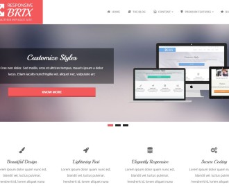 Brix-free-WP-theme