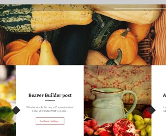 Receptar-free-WP-theme