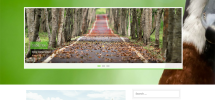 aldehyde-free-WP-theme