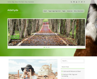 aldehyde-free-WP-theme