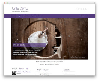 unite-free-wedding-WP-theme