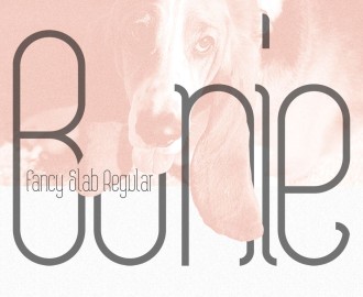 Bonie-Free-Font