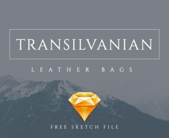 Transilvanian-free-Website-Template