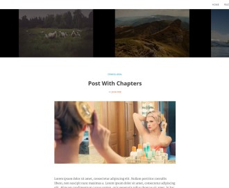 Longform-free-WordPress-theme