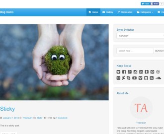 free-WP-theme-DailyBlog